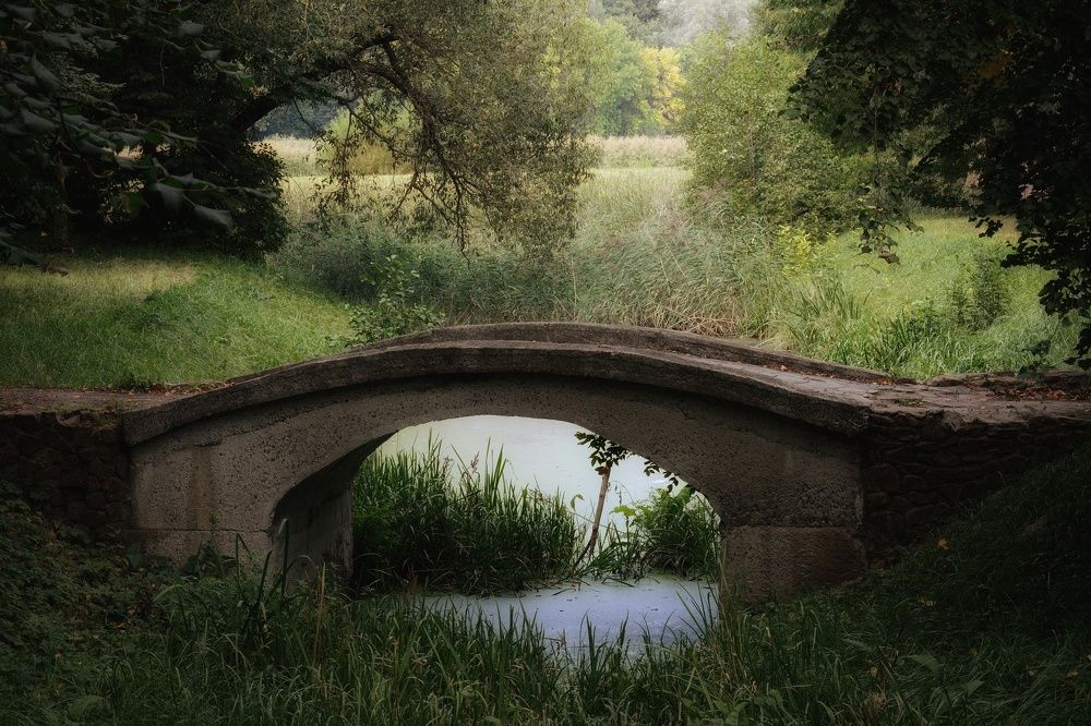 Photograph by Сергей Симаков