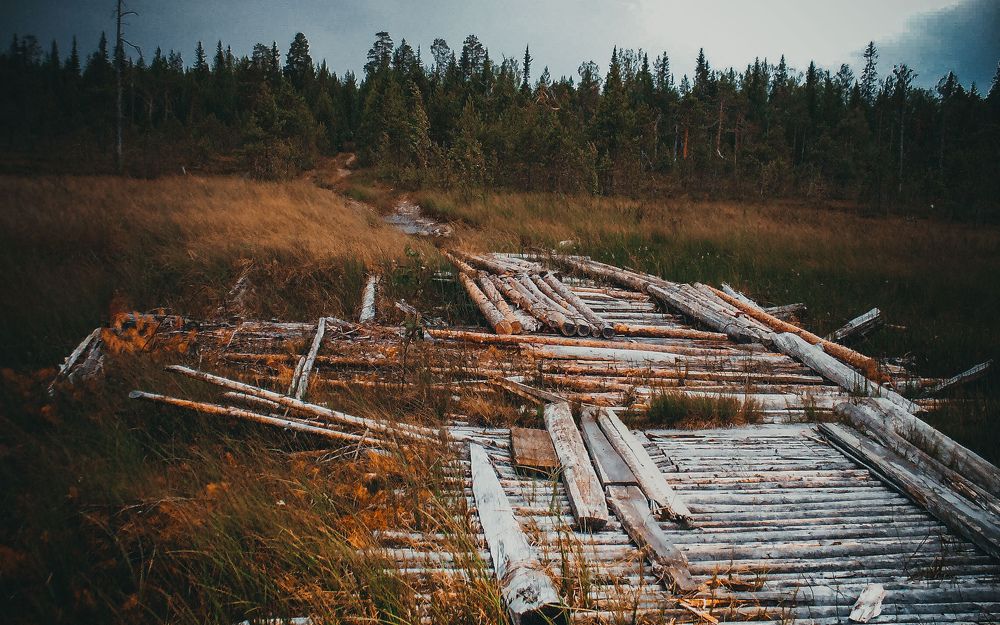Фотография автора Михаил Назаров