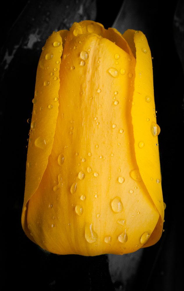 Photograph by Dragan Leles