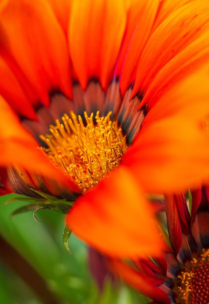 Photograph by Артём Малышев