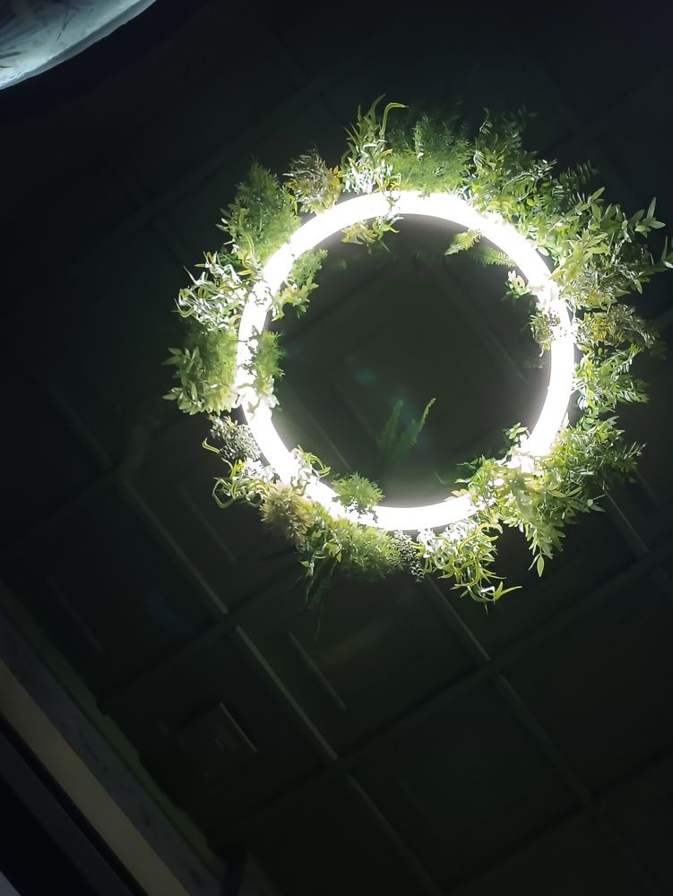 Photograph by Ольга Кириллова