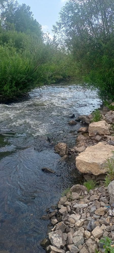 Photograph by Светлана