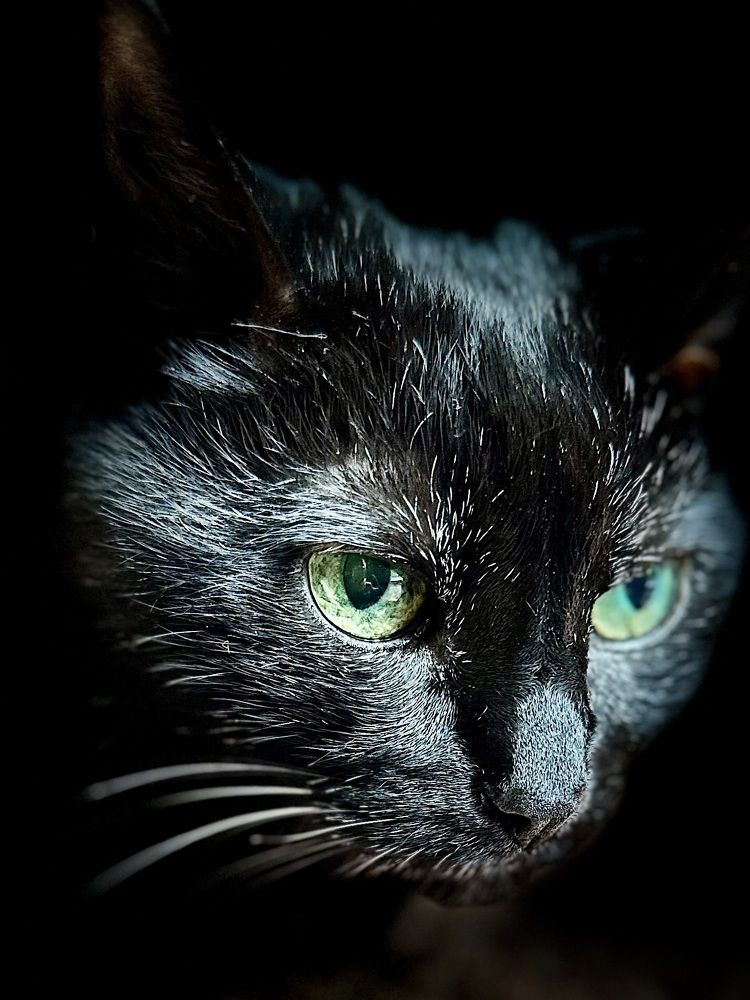 Photograph by Елена Безперстова