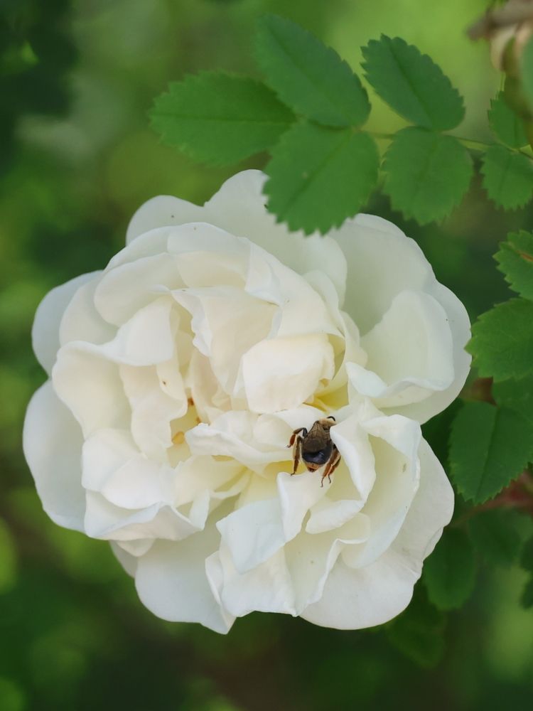 Photograph by Ольга Кириллова