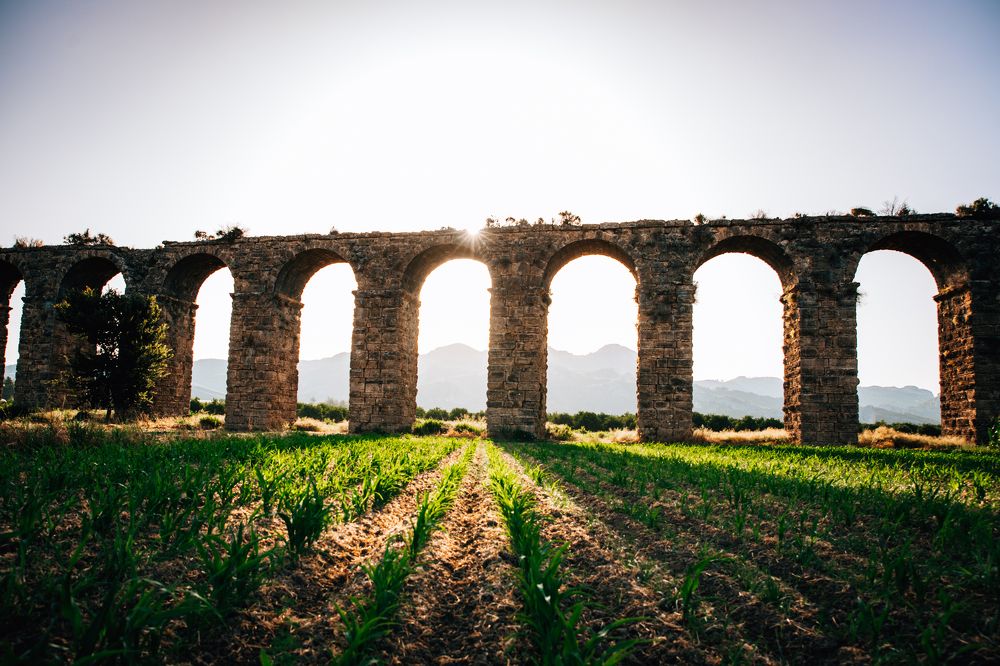 Photograph by Павел Мацепуро