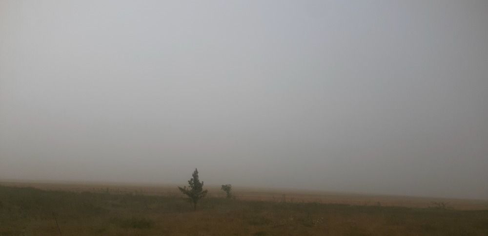 Photograph by Svetlana Nemontova