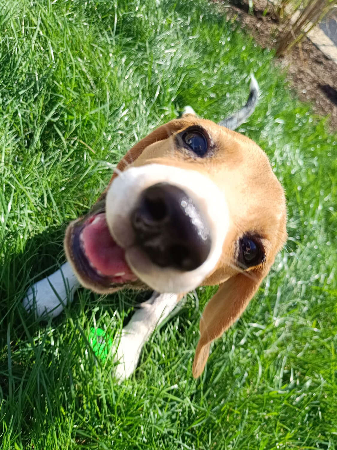 Photo #10905018