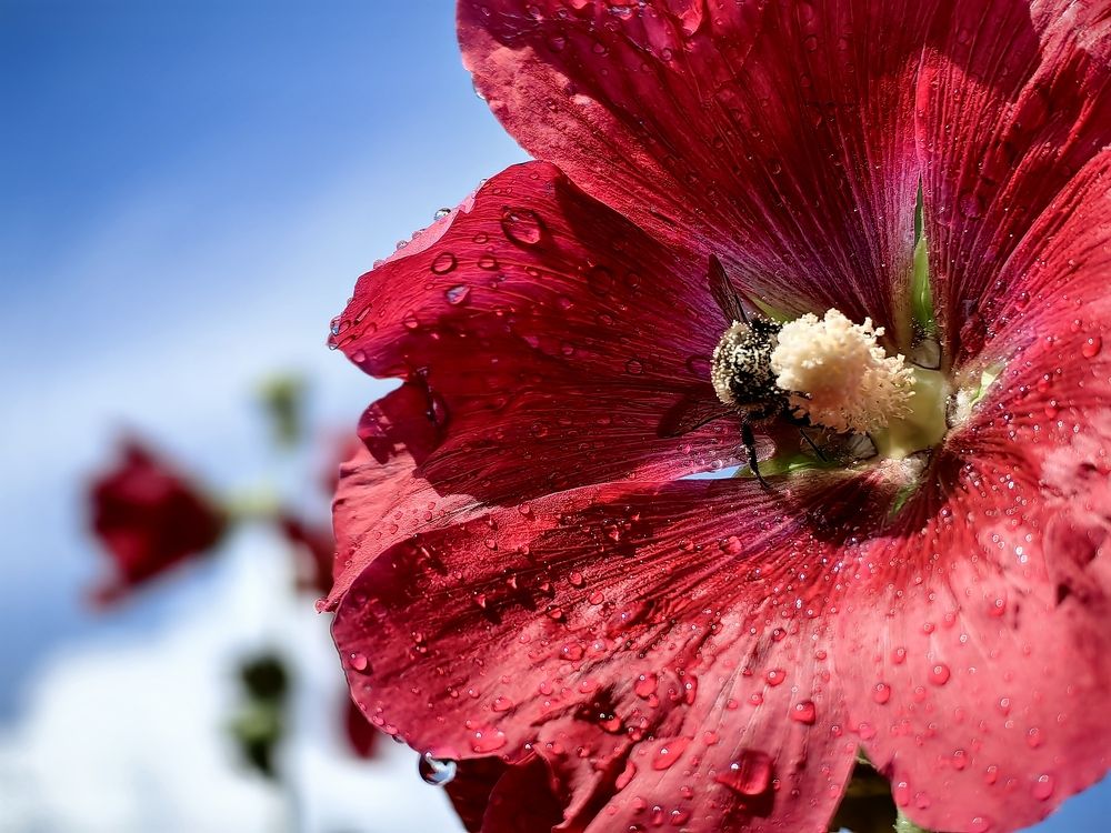 Photograph by Сергей Гриднев