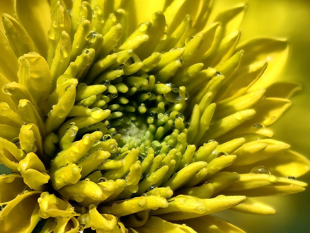 Photograph by Сергей Гриднев