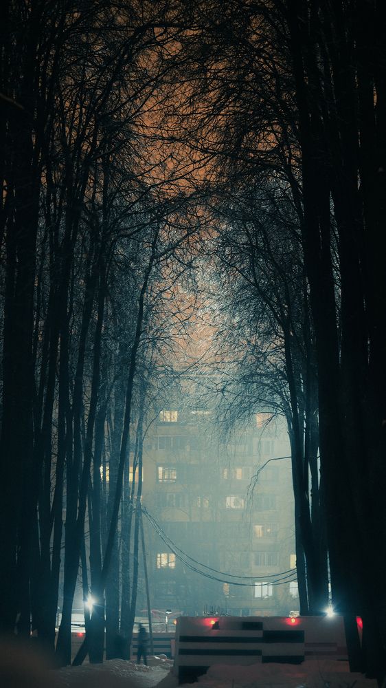 Photograph by Dmitriy Tsoy