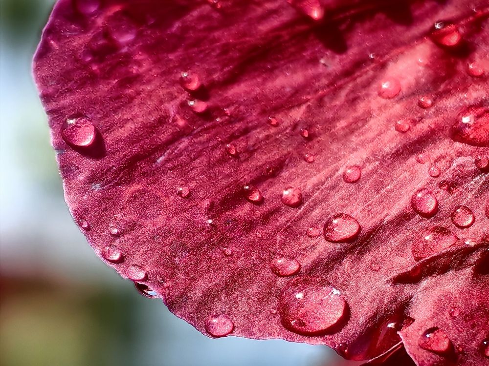 Photograph by Сергей Гриднев