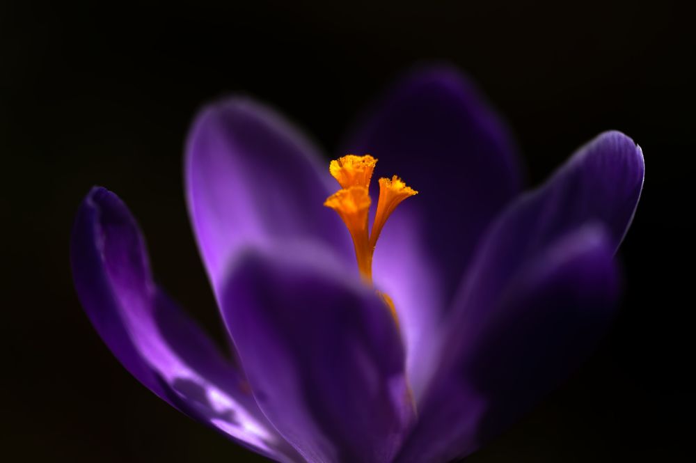 Фотография автора Liviu Ciprian Hiticas