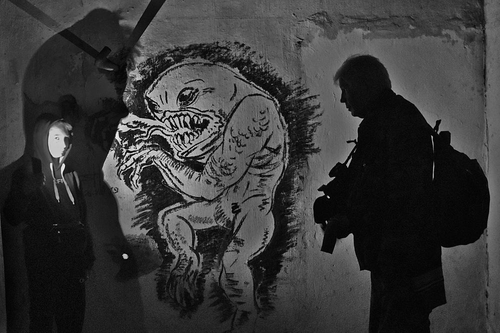 Нежданные гости