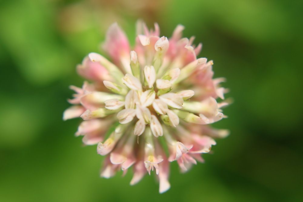 Photograph by ILYA KOREYSHA