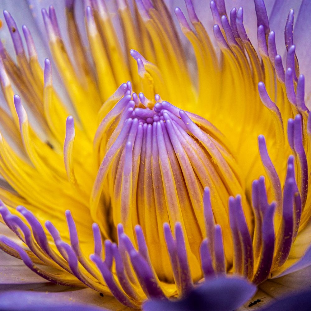 Photograph by Jaime Molina