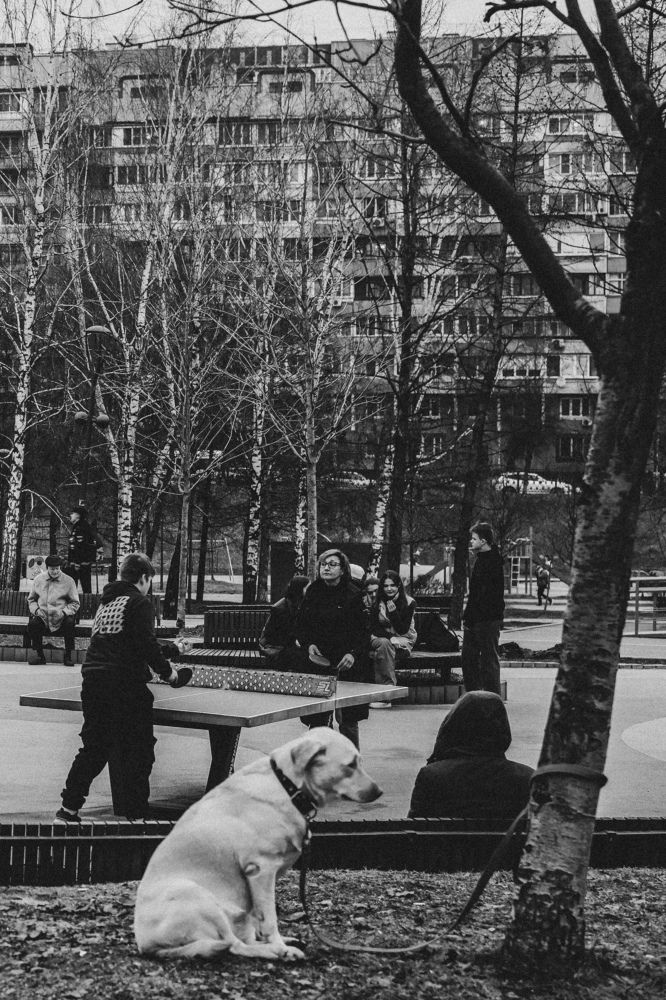 Photograph by Dmitriy Tsoy