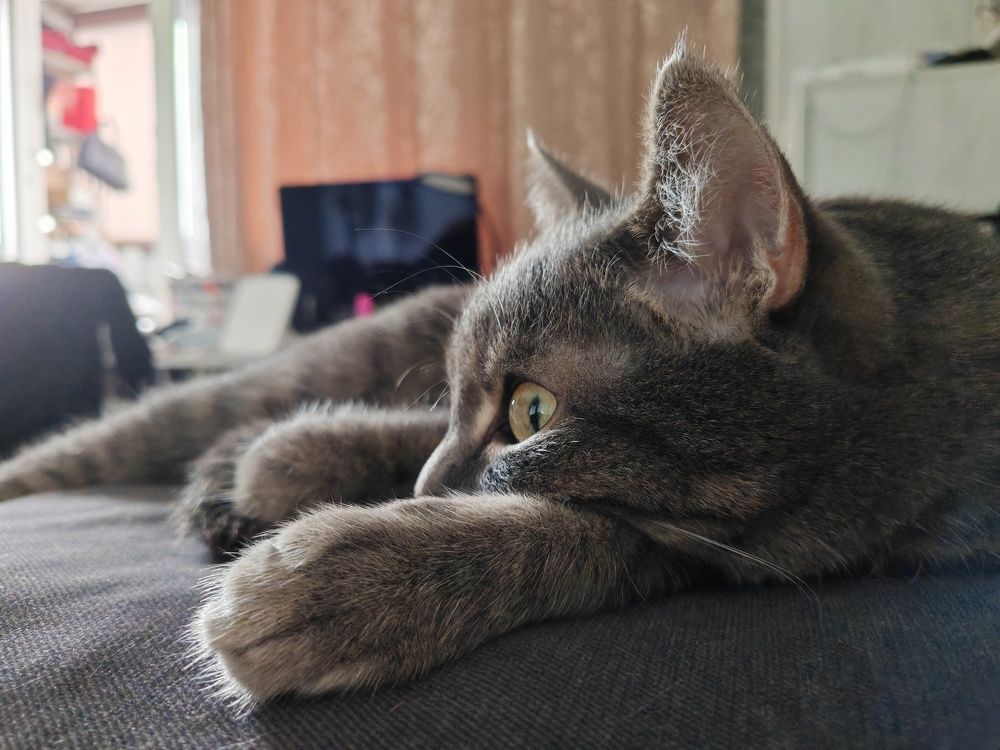 Фотография автора Евгения Гунина