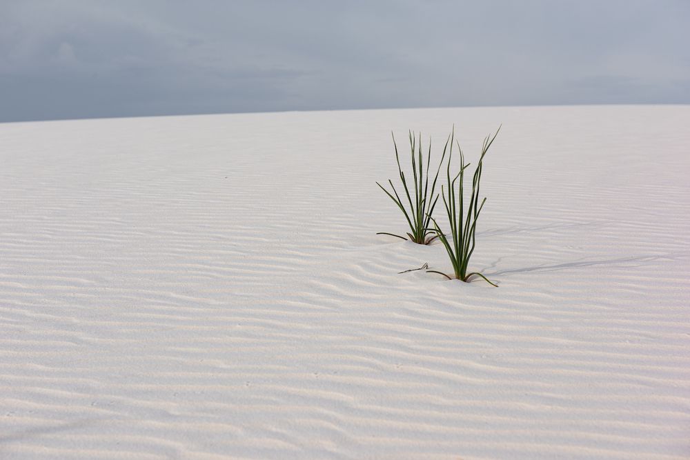 Фотография автора Вадим Жигулин