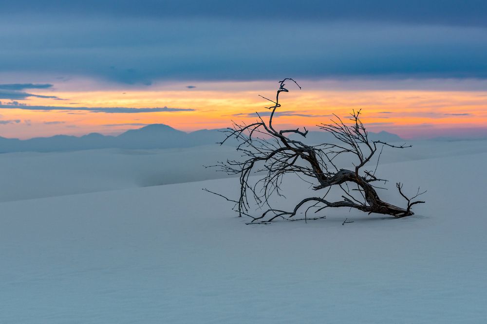 Фотография автора Вадим Жигулин