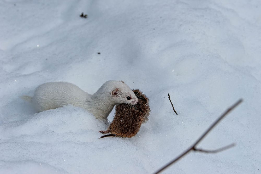 Photograph by Вадим Басов