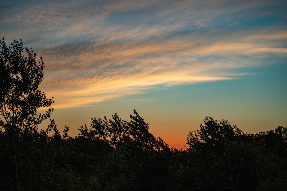 Photograph by Цибуляк Анна