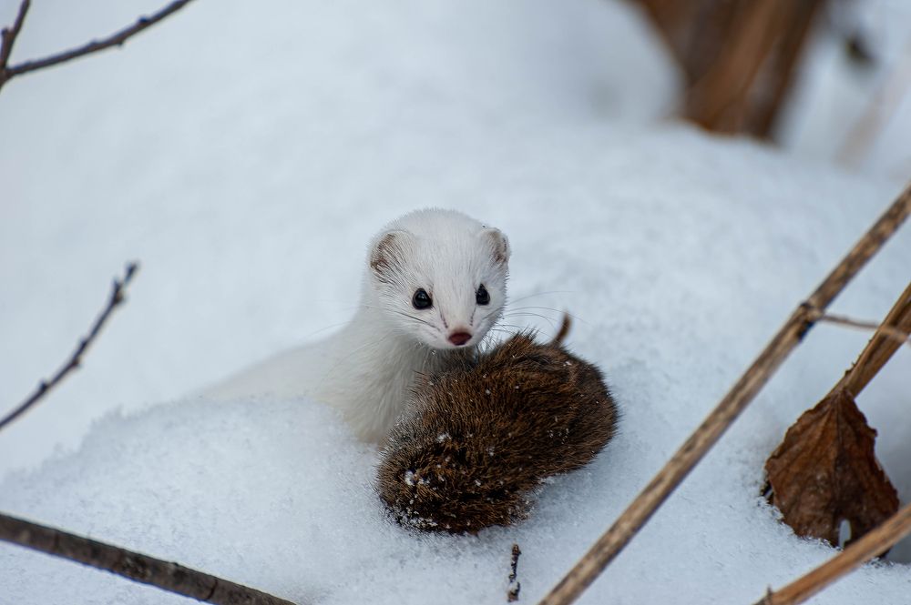 Photograph by Вадим Басов