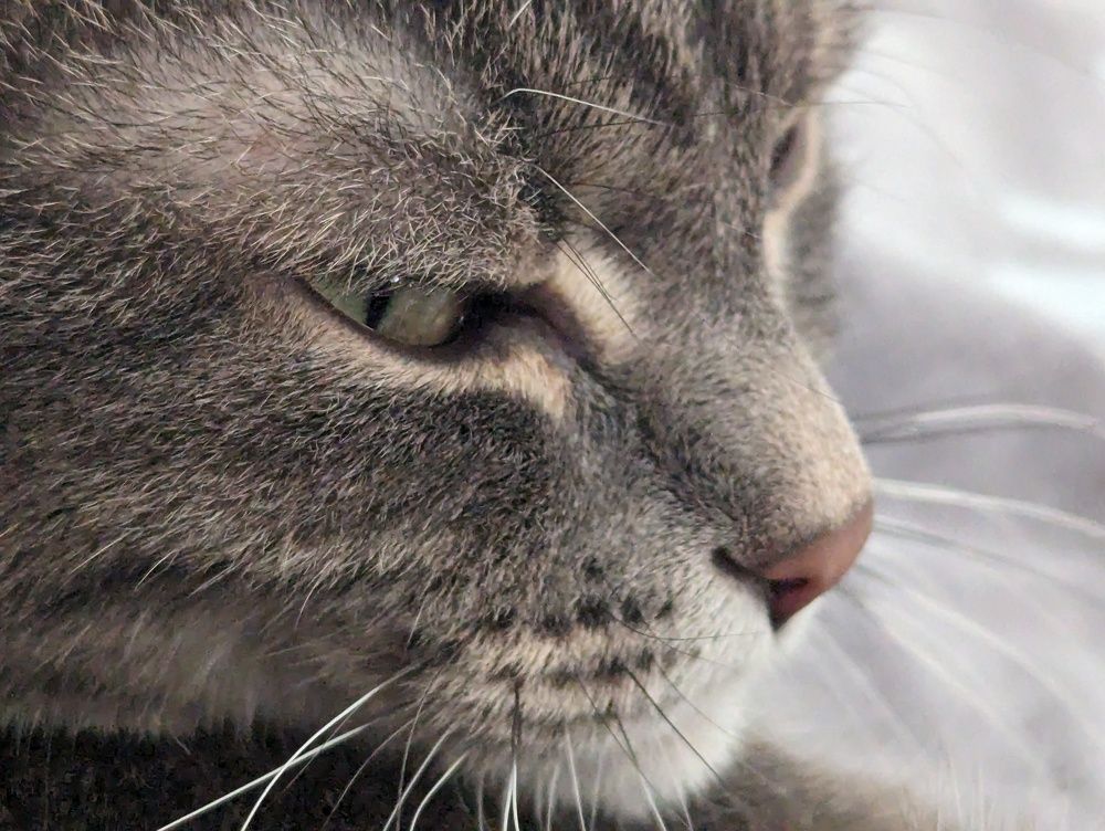 Фотография автора Евгения Гунина