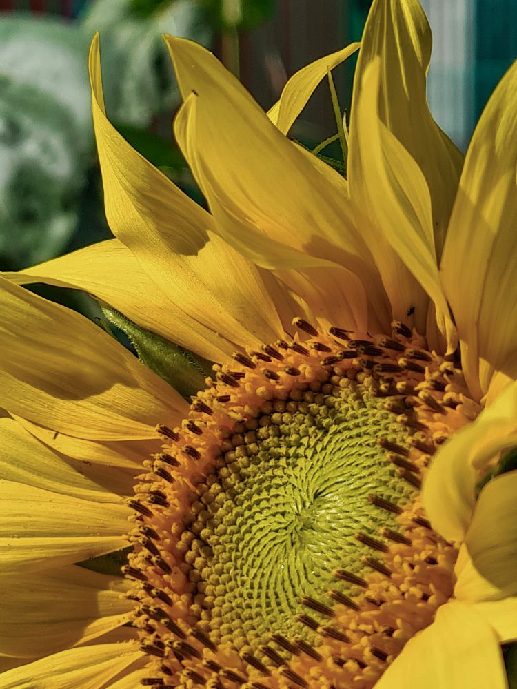 Photograph by Людмила Григорьева