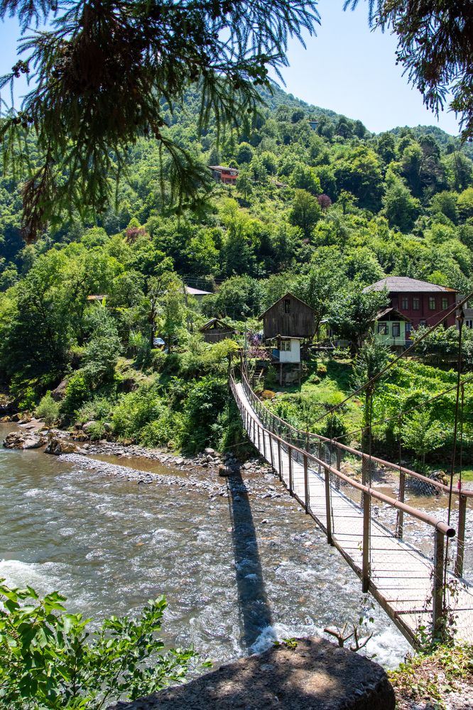 Photograph by Svetlana Jegorova