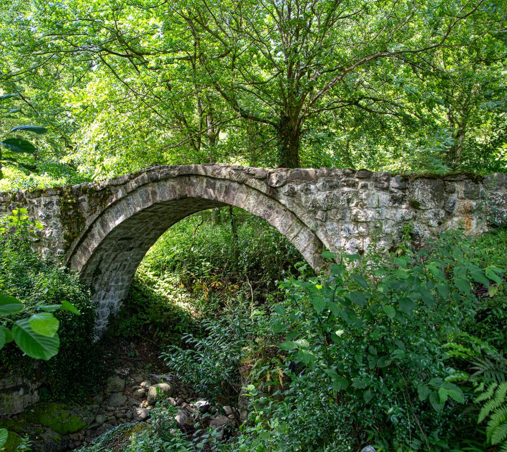 Photograph by Svetlana Jegorova