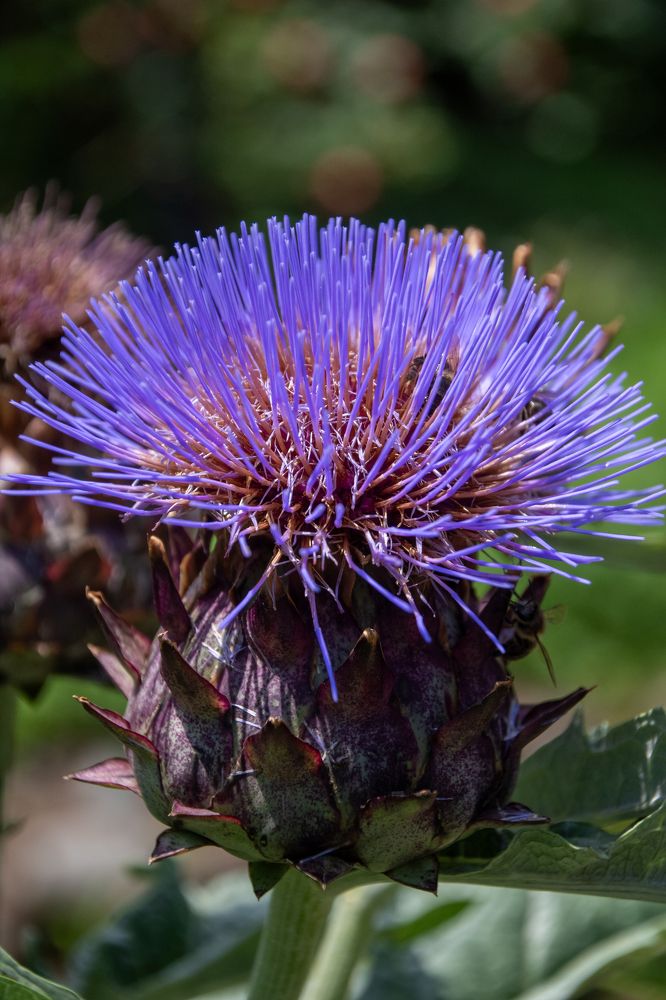 Photograph by Svetlana Jegorova