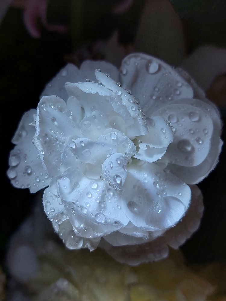 Photograph by Мария