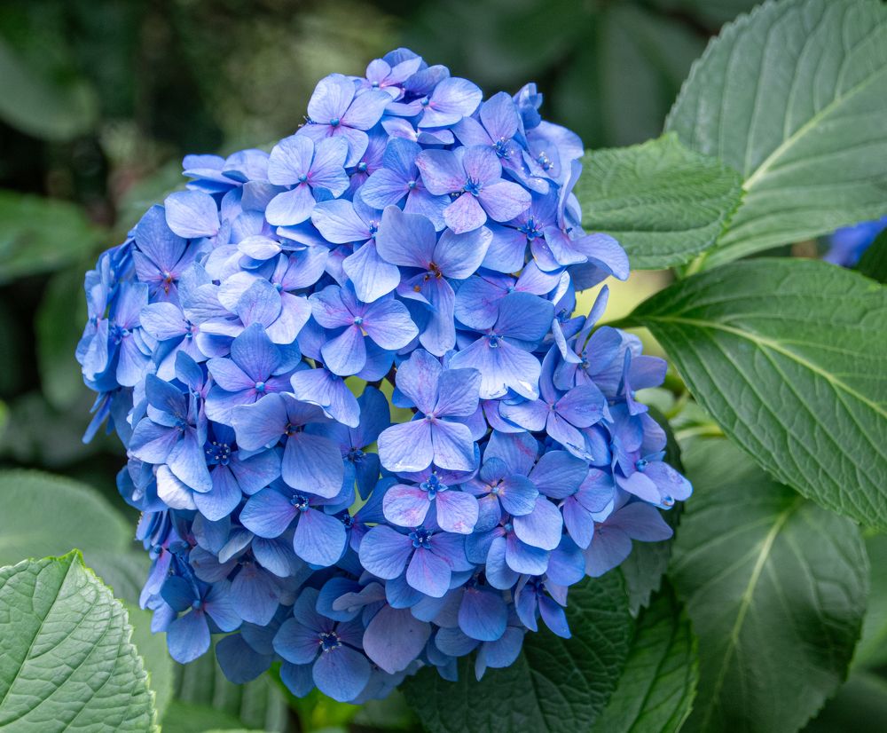 Photograph by Svetlana Jegorova