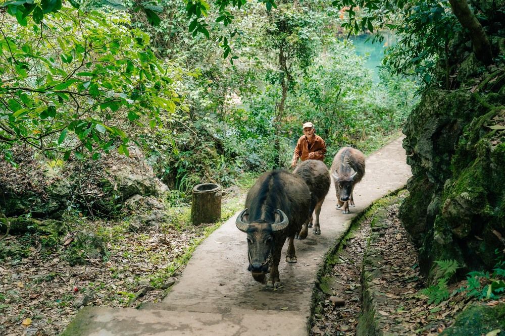 Photograph by Hòa Lê Đình