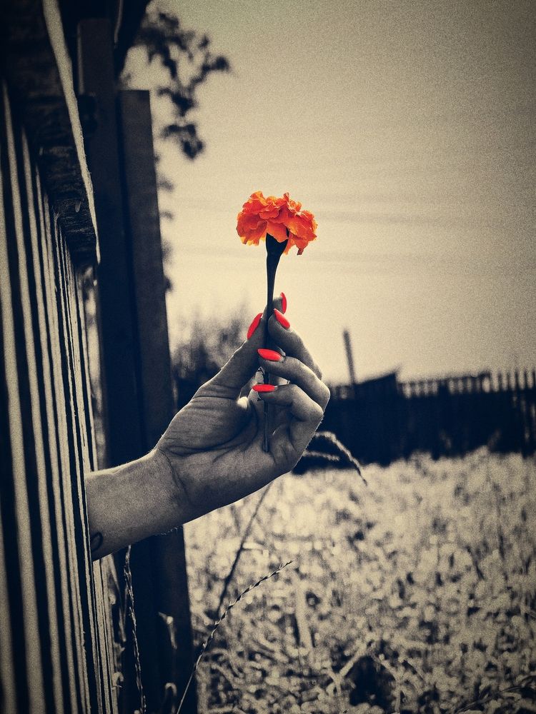 Photograph by Сергей Гриднев