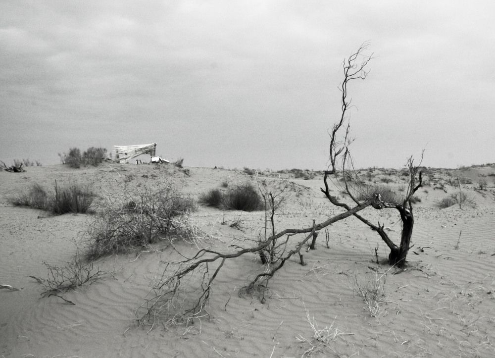 Photograph by Лариса Фомина