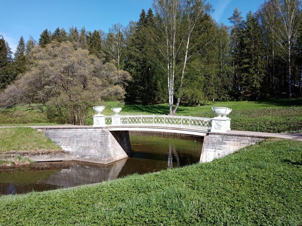 Photograph by Елена