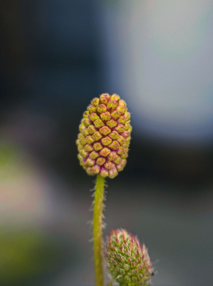 Photograph by Sanchari Nag