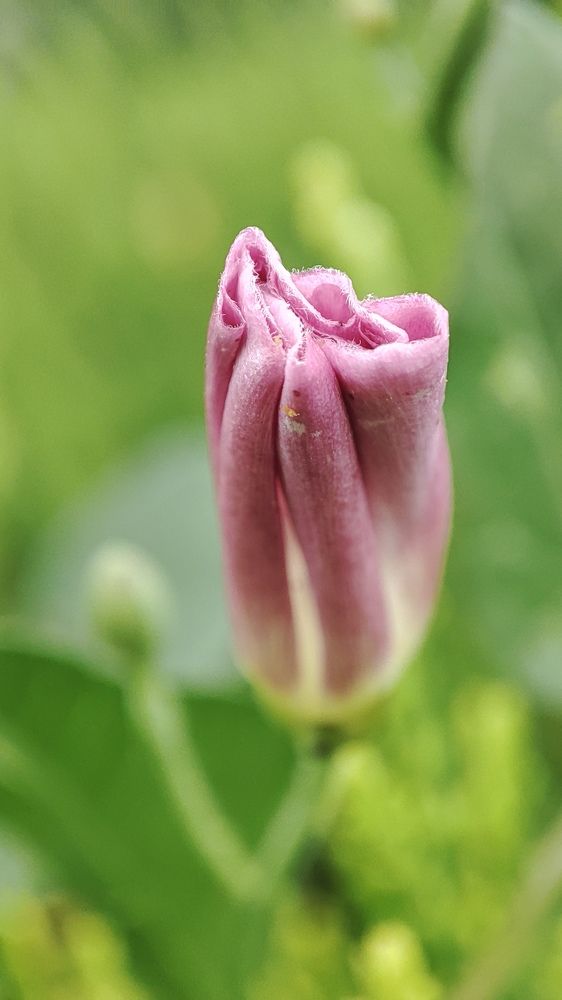 Фотография автора Ксения Лепина