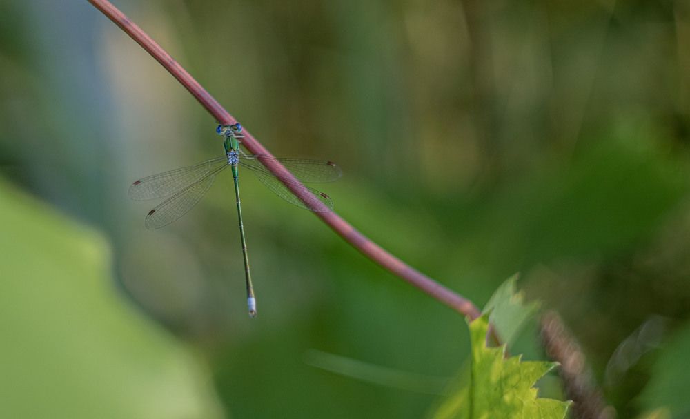 Photograph by Викулов Сергей