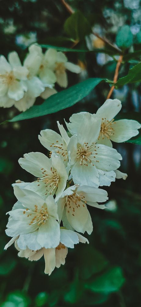 Photograph by Александра Соловьева