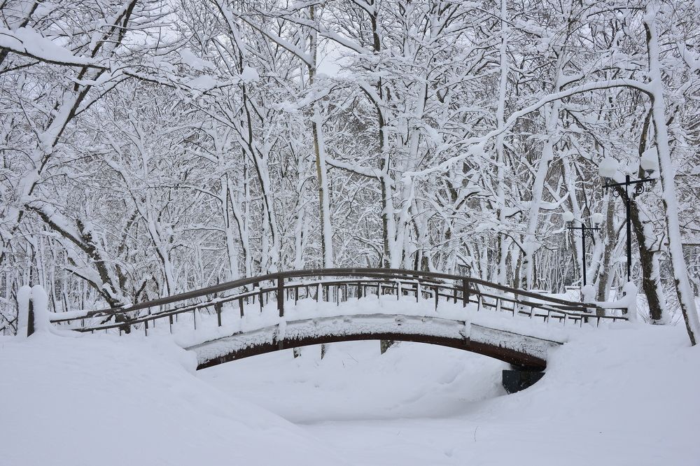 Photograph by Дмитрий Юдин