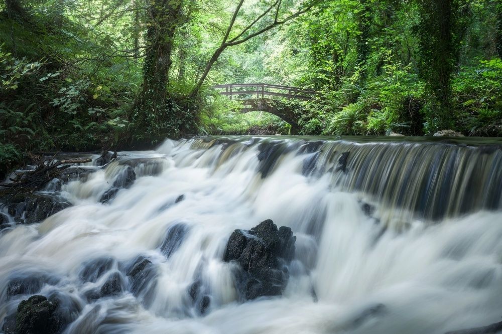 Photograph by ANDREA NIGRA