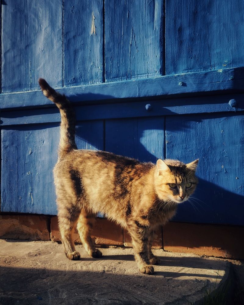 Photograph by Алина