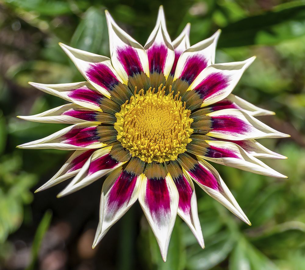 Photograph by Валерий Клейменов