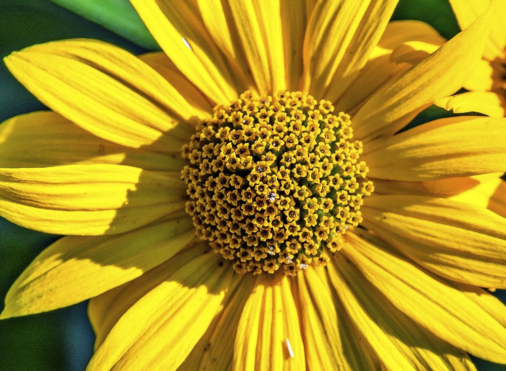 Photograph by Валерий Клейменов