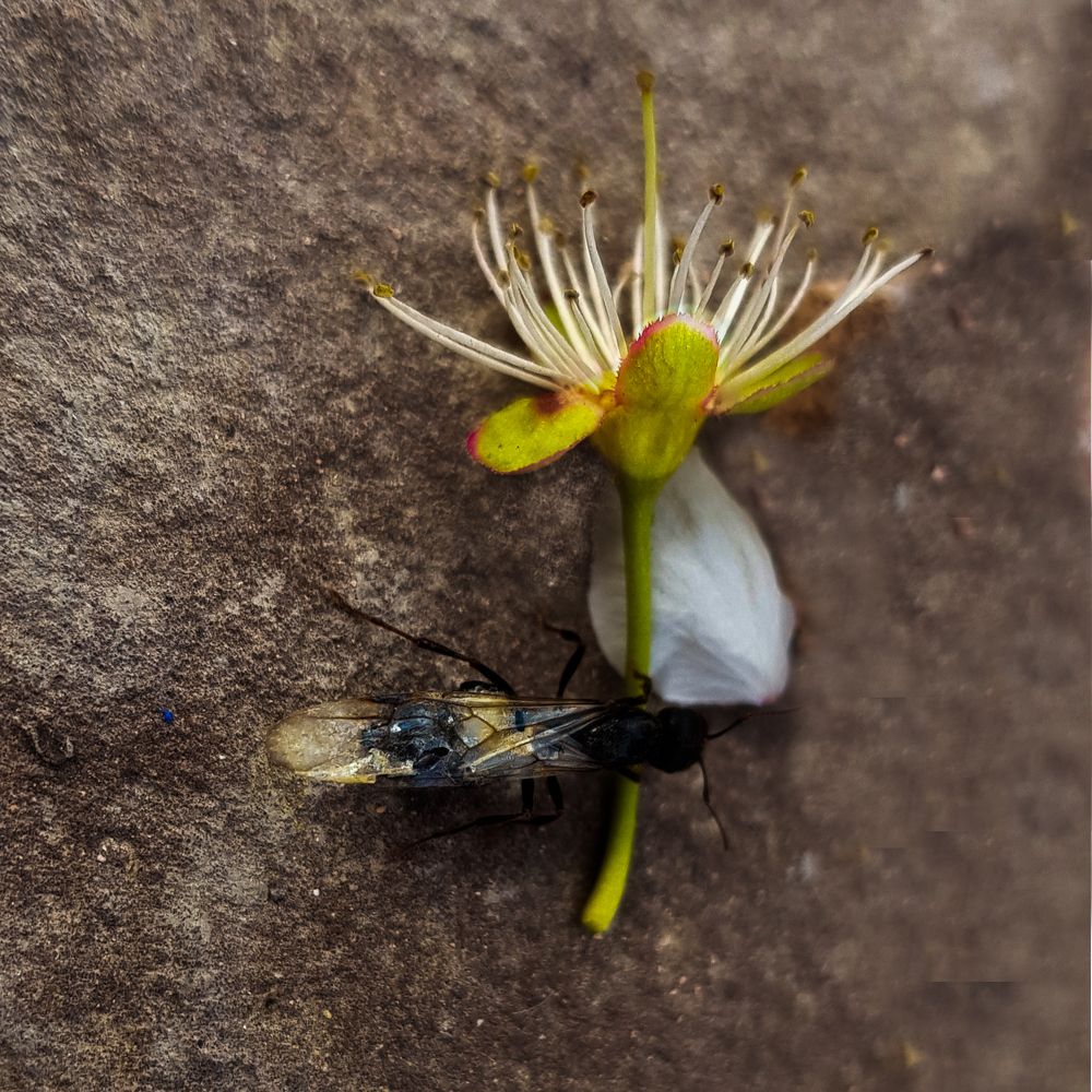 Фотография автора Seyedeh hanieh seiffard