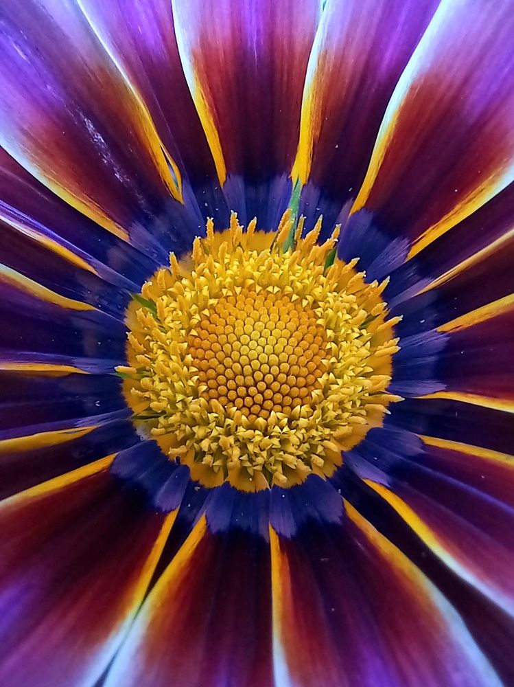 Photograph by Яна