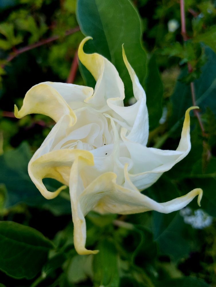 Photograph by Яна