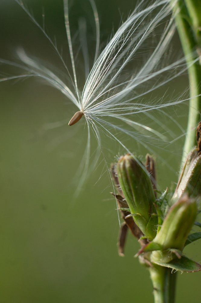 Photograph by Дарья Улюсова